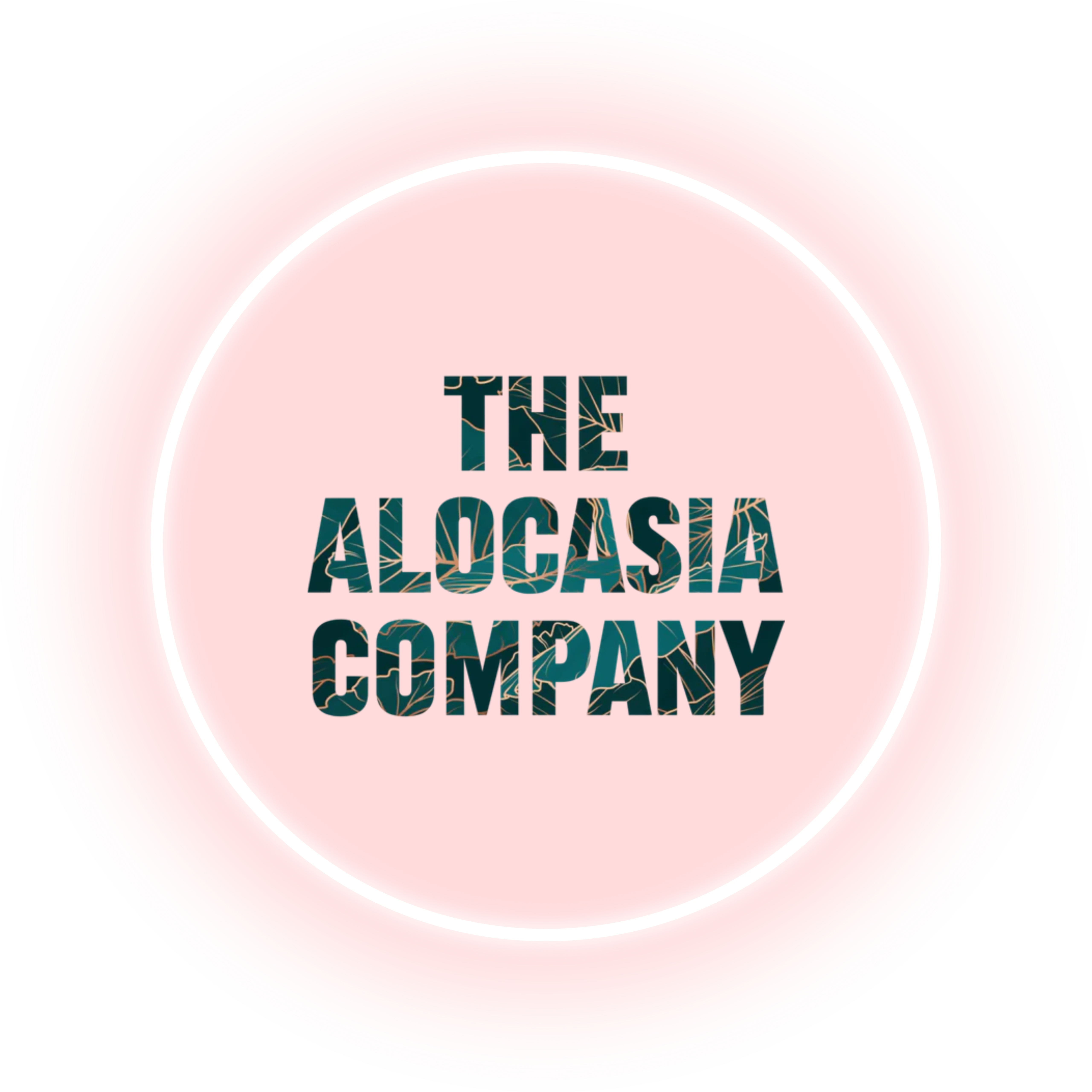 The Alocasia Company